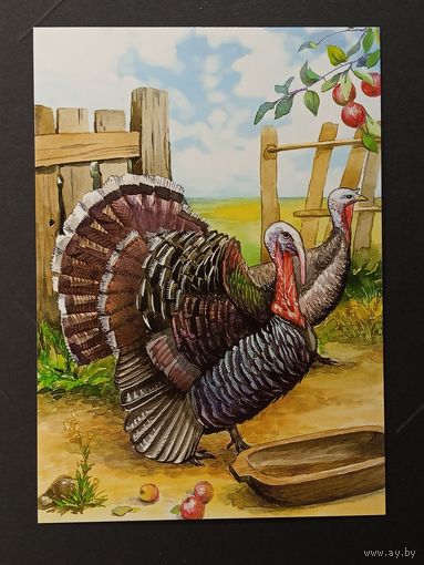 Индюк Беларусь Белпочта 2012