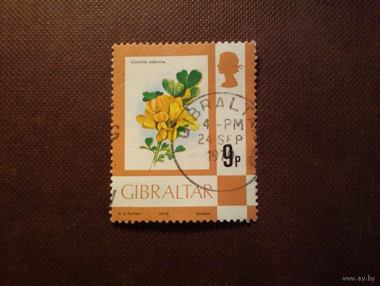 Гибралтар 1977 г.Вечнозелёный кустарник Вязель валенсийский ./15а/