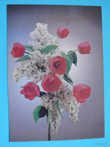 Киндрова Д.(фото), Поздравляю! 1989, чистая.