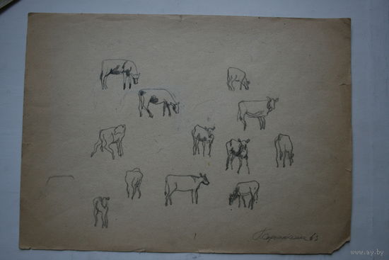 Георгий Скрипниченко 1963 год