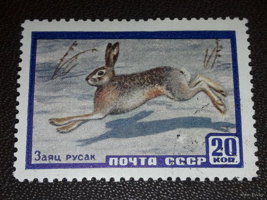 СССР 1960 Фауна. Заяц русак. Полная серия 1 чистая марка