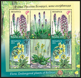 Беларусь. 2011. Цветы. Малый лист