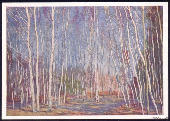 СССР ИЗОГИЗ 1954 Бакшеев "Голубая весна"