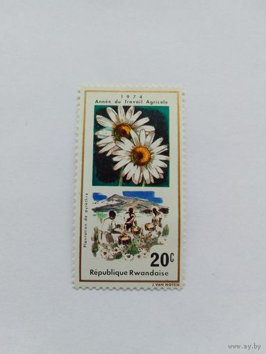 Марки  Цветы  Руанда 1974   1 шт. -  0,40 руб.