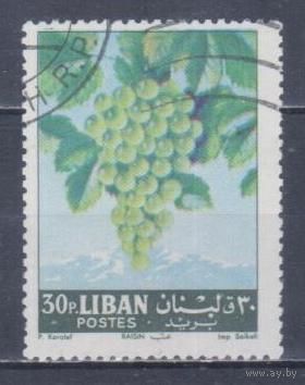 [2428] Ливан 1962. Флора.Фрукты.Плоды.Виноград. Гашеная марка.