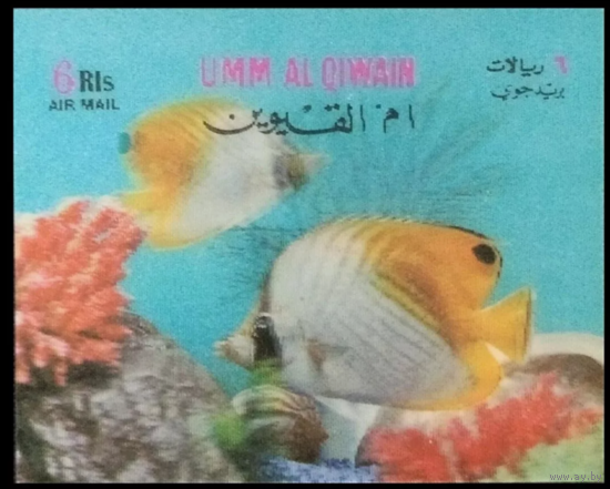 УММ АЛЬ КИВАИН   РЫБА - 3D   фауна MNH
