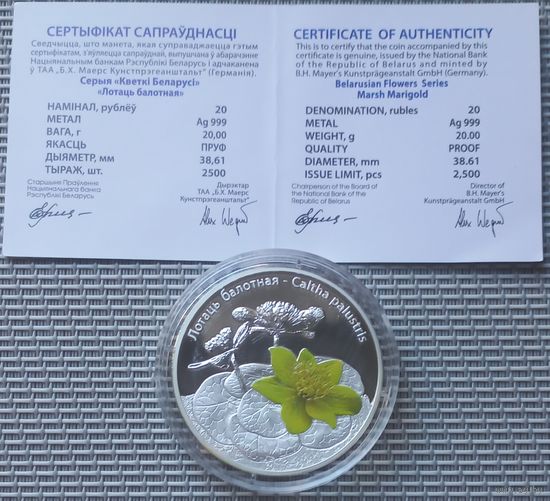 Цветы Беларуси Лопаць балотная Калужница 20 рублей 2014 год. Серебро 999 Состояние!