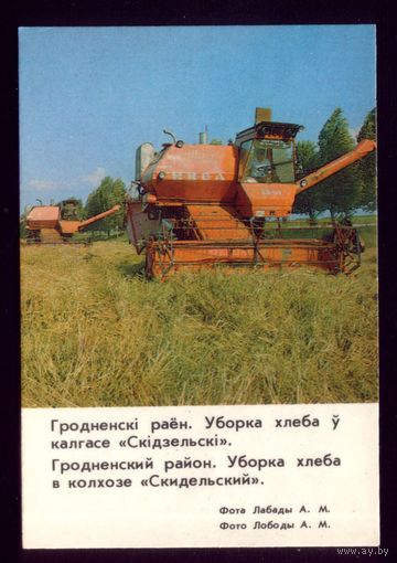 Уборка хлеба в колхозе Скидельский