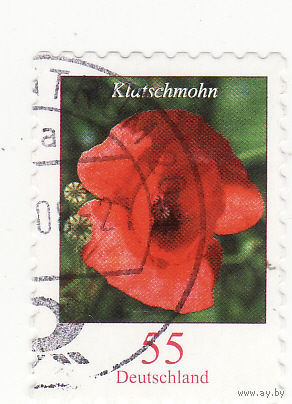Мак 2005 год