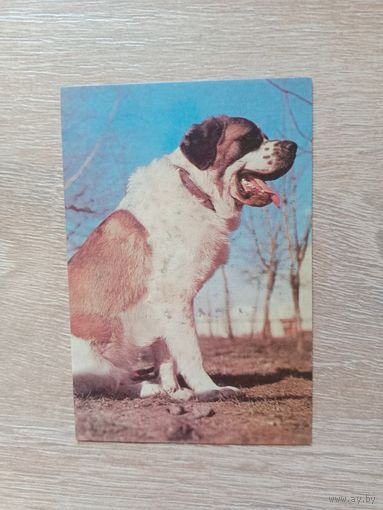 Календарик 1993