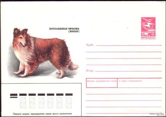 1989 год ХМК Колли 89-132