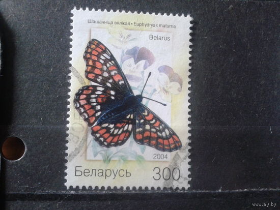 2004 Бабочка