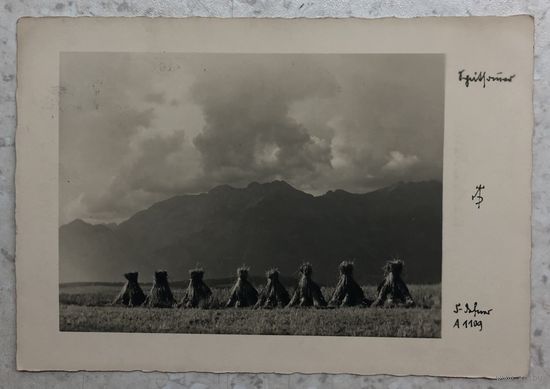 Окрестности Инсбрука с видом на горы, гашение почтовым штемпелем горных станций Хафелекар (2260 м) и Пачеркофель (1952 м), отправлено из Инсбрука 6.08.1941