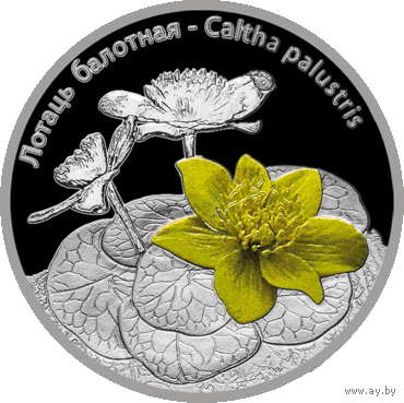 20 рублей 2014 Республика Беларусь Калужница болотная пруф сертификат