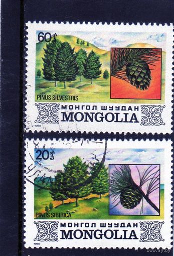 Монголия.Ми-1493,1489. Pinus sylvestris,Pinus sibirica. Серия: Флора. 1982.