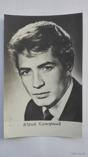 Актер Юрий Каморный