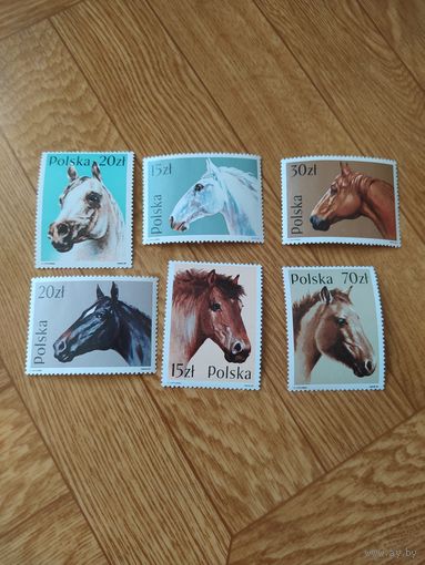 Польша серия марок 1989 г лошади.