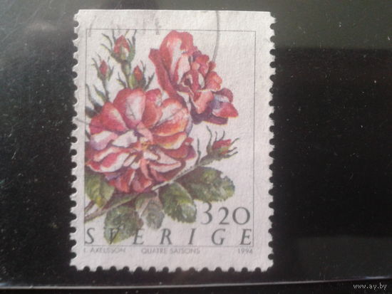 Швеция 1994 Розы