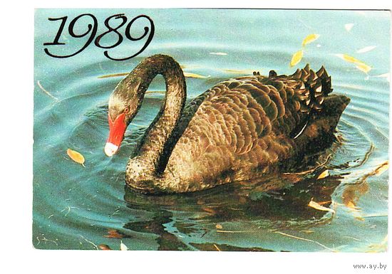 Календарик 1989 Фото В. Бобкова
