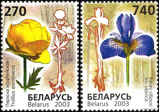 Редкие виды цветов Беларусь 2003 год (513-514) серия из 2-х марок