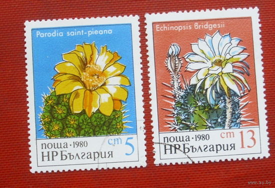 Болгария. Цветы. Флора. ( 2 марки ) 1980 года. 4-3.