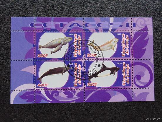 Конго 2010 г. Морская фауна.