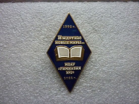 Знак юбилейный. МОАУ "Гимназия 1"  30 лет. 1992-2022. Латунь цанга.