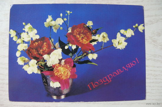 Корабельников В., Панкрвтов В., Поздравляю! 1989, 1990, чистая.