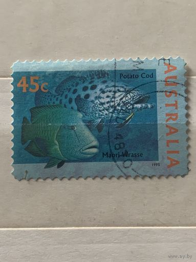 Австралия 1995. Фауна. Рыбы