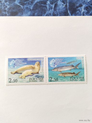 Россия 2003 2 м сц.  каспийская нерпа