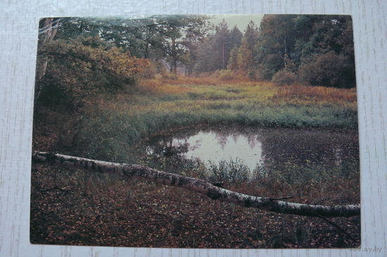 Гиппенрейтер В., Осень; 1986, чистая.