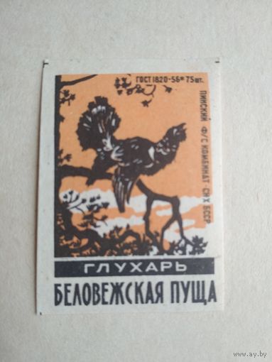 Спичечные этикетки ф.Пинск. Беловежская пуща