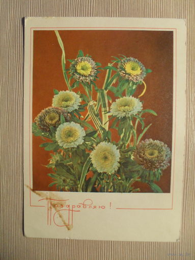 ПОДПИСАННАЯ ОТКРЫТКА. СССР. ПОЗДРАВЛЯЮ! фото. А. ГЕОДАКОВА. 1969 г.