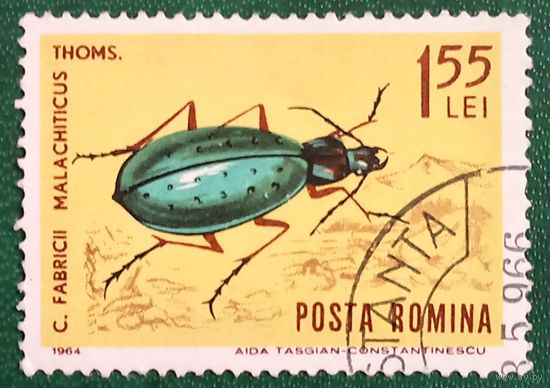 Румыния 1964. Жуки. Fabricii Malachiticus