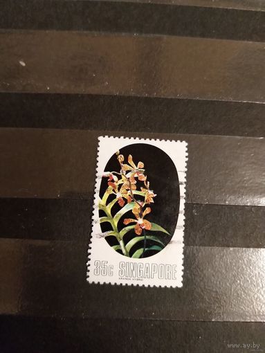 Сингапур флора цветы (3-11)
