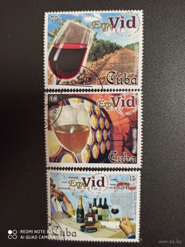 Куба 2002, виноделие, Expo 2002