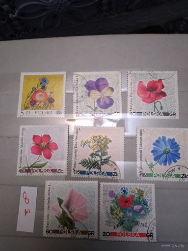 ПОЛЬША, 1967  ЦВЕТЫ,  8м   (на рис. указаны номера и цены по МИХЕЛЮ)