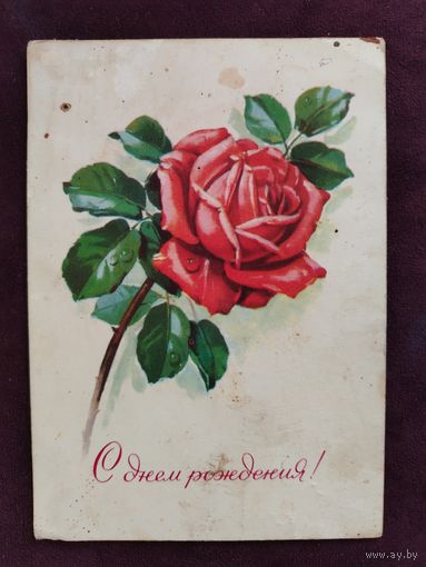 С Днем рождения 1978 Г. Куртенко Прошла почту