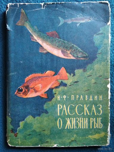 И.Ф. Правдин. РАССКАЗ О ЖИЗНИ РЫБ. 1963 год