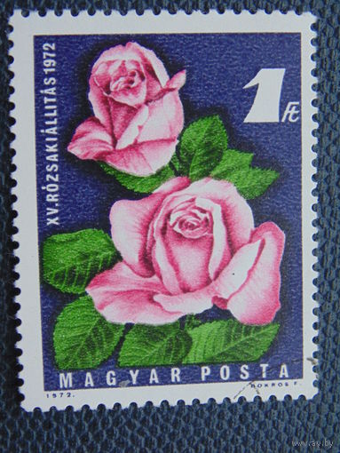 Венгрия 1972 г. Розы.