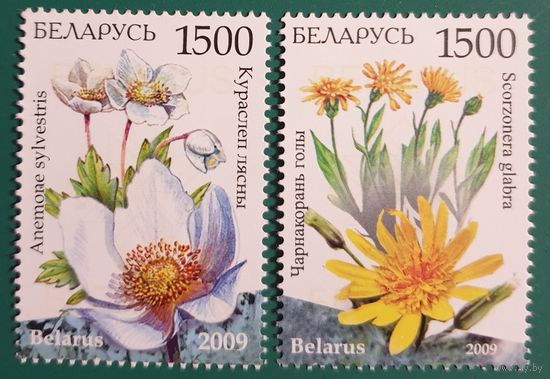 2009 Флора. Охраняемые растения Беларуси