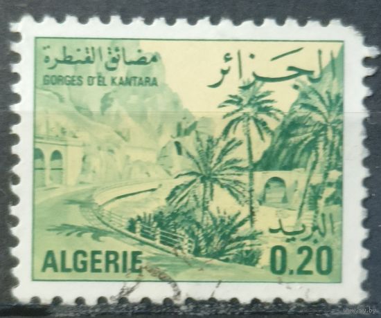 Алжир 1977г.