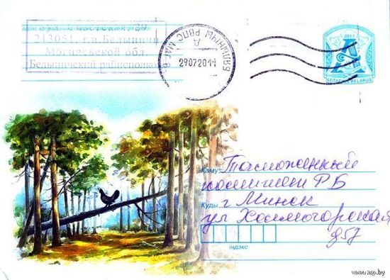 2011. Конверт, прошедший почту "Тетерев на дереве"