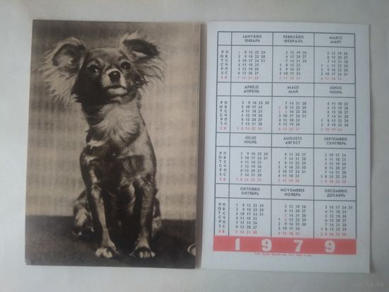 Карманный календарик. Собака.1979 год