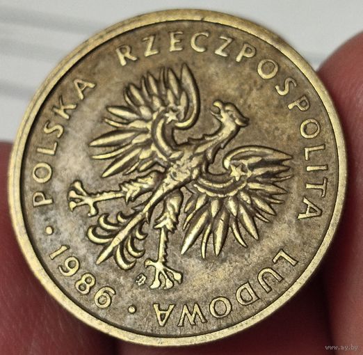 5 злотых Польша 1986