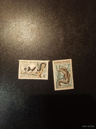 Лемуры. Мадагаскар. 1961
