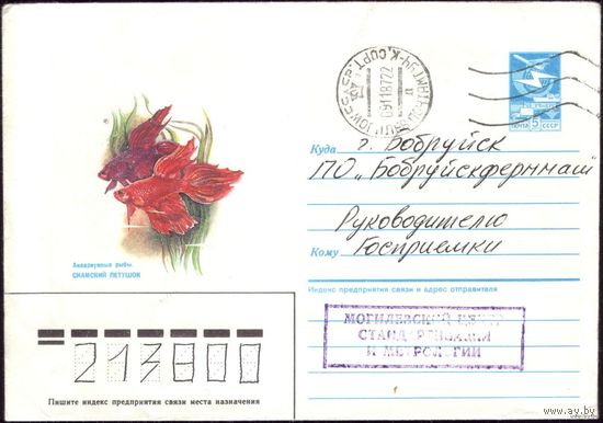 1987 год ХМК Сиамский петушок