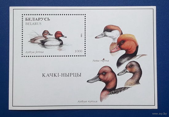 Беларусь 1996г.  Блок Утки. **