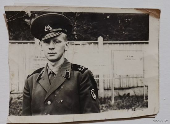 Фото в коллекцию