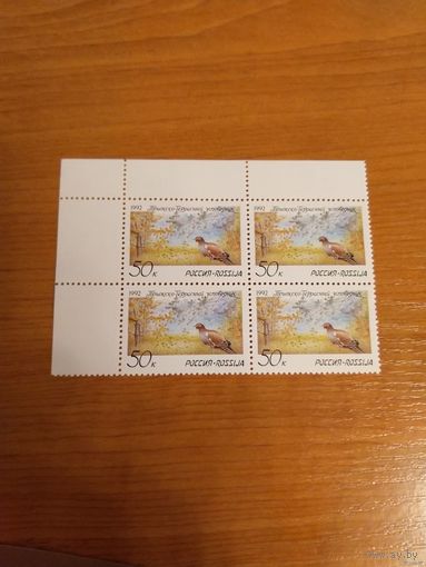 1992 Россия фауна птицы чистый угловой квартблок MNH** (р-1)